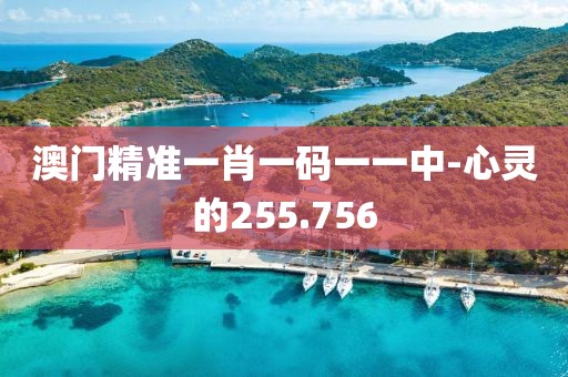 澳门精准一肖一码一一中-心灵的255.756