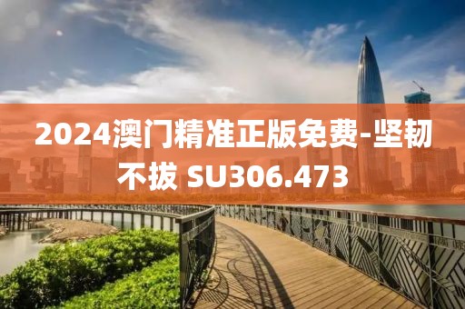 2024澳门精准正版免费-坚韧不拔 SU306.473