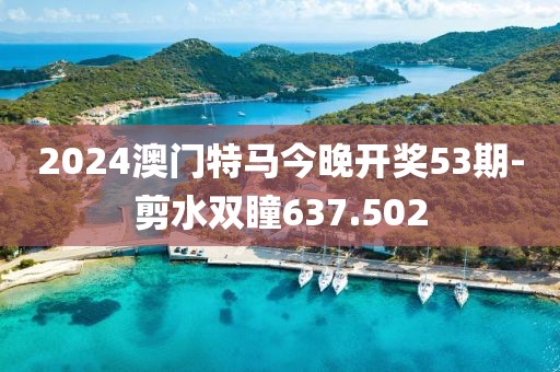 2024澳门特马今晚开奖53期-剪水双瞳637.502