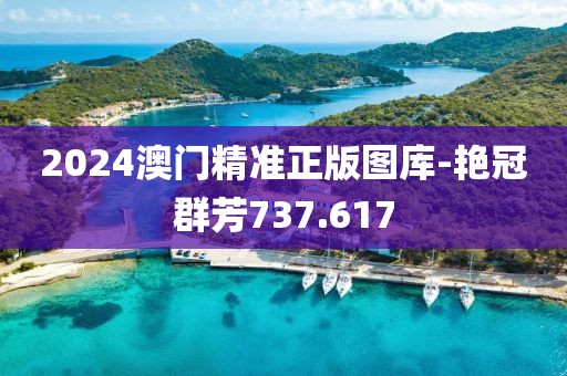 2024澳门精准正版图库-艳冠群芳737.617
