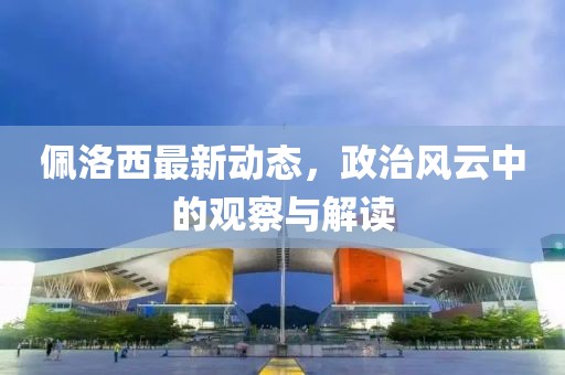 佩洛西最新动态，政治风云中的观察与解读