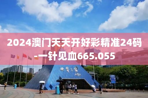 2024澳门天天开好彩精准24码-一针见血665.055