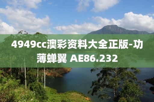 4949cc澳彩资料大全正版-功薄蝉翼 AE86.232