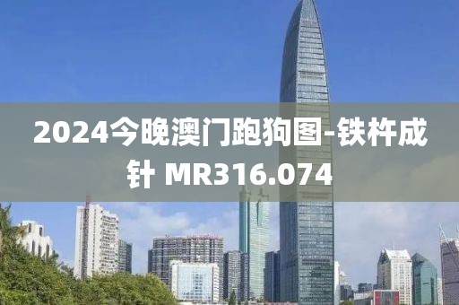 2024今晚澳门跑狗图-铁杵成针 MR316.074
