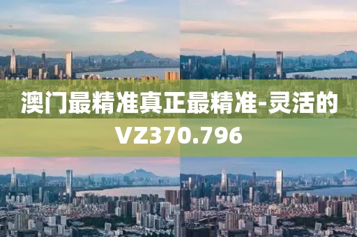 澳门最精准真正最精准-灵活的VZ370.796