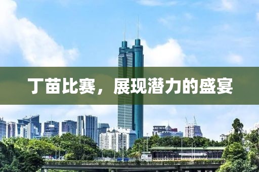 丁苗比赛，展现潜力的盛宴