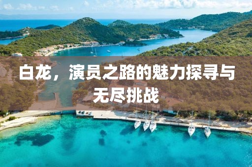 白龙，演员之路的魅力探寻与无尽挑战