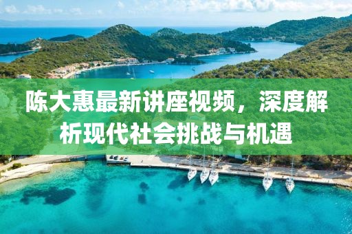 陈大惠最新讲座视频，深度解析现代社会挑战与机遇