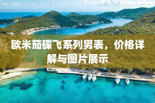 欧米茄碟飞系列男表，价格详解与图片展示