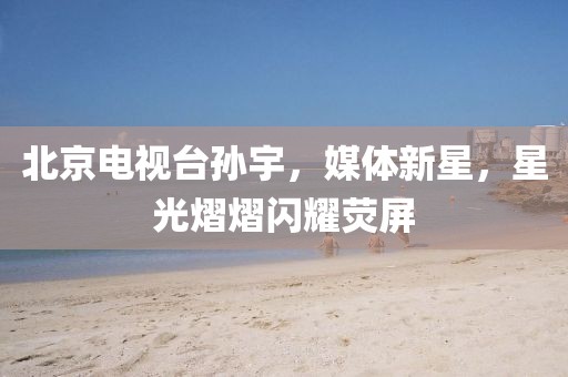 北京电视台孙宇，媒体新星，星光熠熠闪耀荧屏