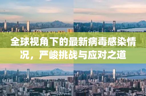 全球视角下的最新病毒感染情况，严峻挑战与应对之道