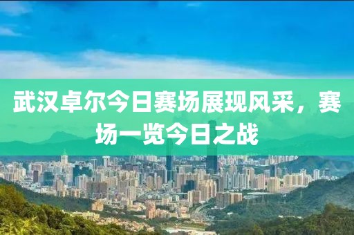 武汉卓尔今日赛场展现风采，赛场一览今日之战