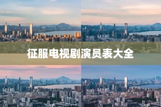 征服电视剧演员表大全