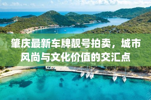 肇庆最新车牌靓号拍卖，城市风尚与文化价值的交汇点