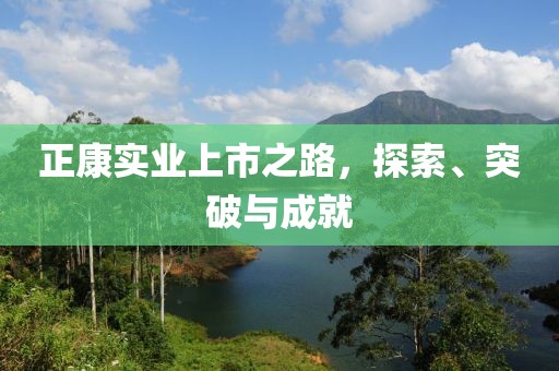 正康实业上市之路，探索、突破与成就