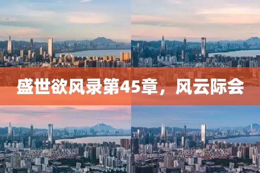 盛世欲风录第45章，风云际会