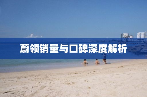 蔚领销量与口碑深度解析