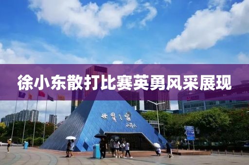 徐小东散打比赛英勇风采展现