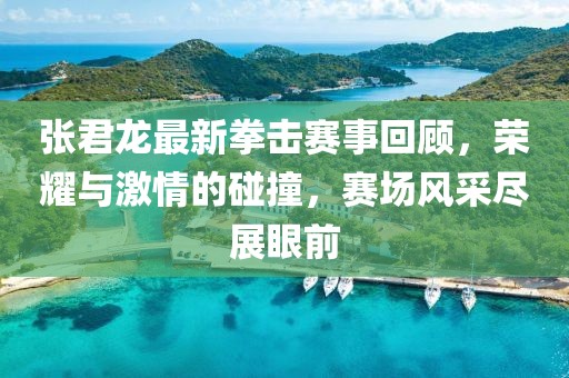 张君龙最新拳击赛事回顾，荣耀与激情的碰撞，赛场风采尽展眼前