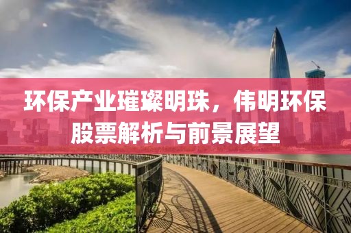 环保产业璀璨明珠，伟明环保股票解析与前景展望