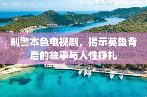 刑警本色电视剧，揭示英雄背后的故事与人性挣扎