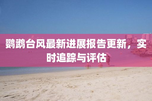 鹦鹉台风最新进展报告更新，实时追踪与评估