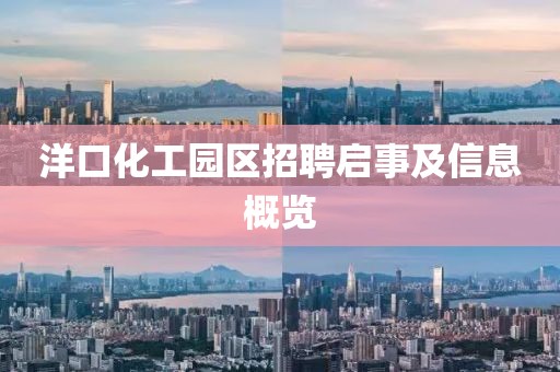 洋口化工园区招聘启事及信息概览