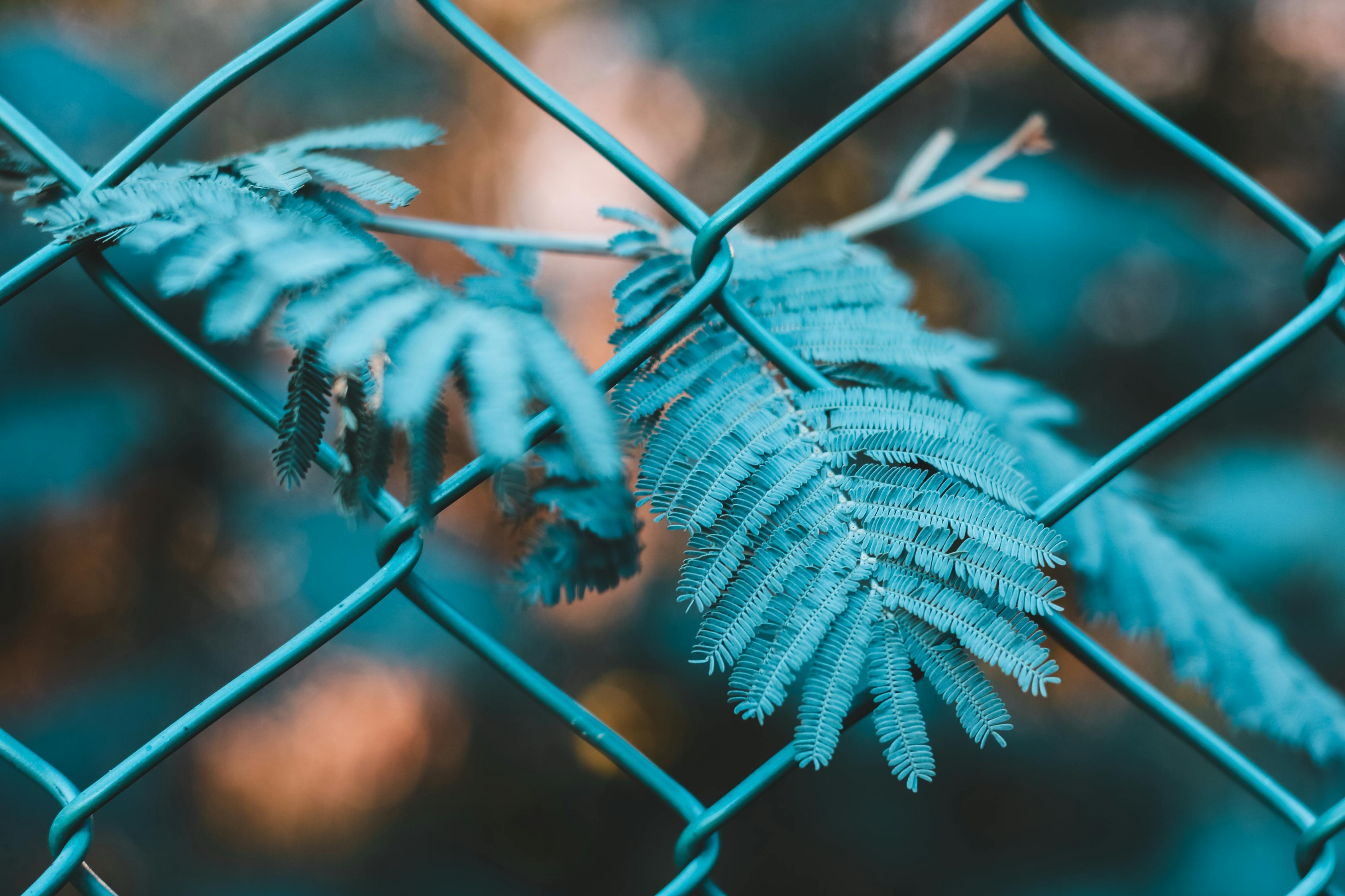 漯河退休工资动态更新，调整与优化退休金制度的探索