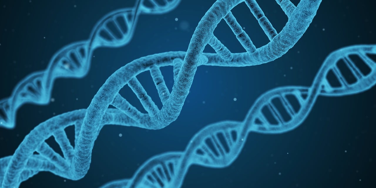 2024新澳门精准资料免费，材料科学与工程领域研究进展WN71.31.84