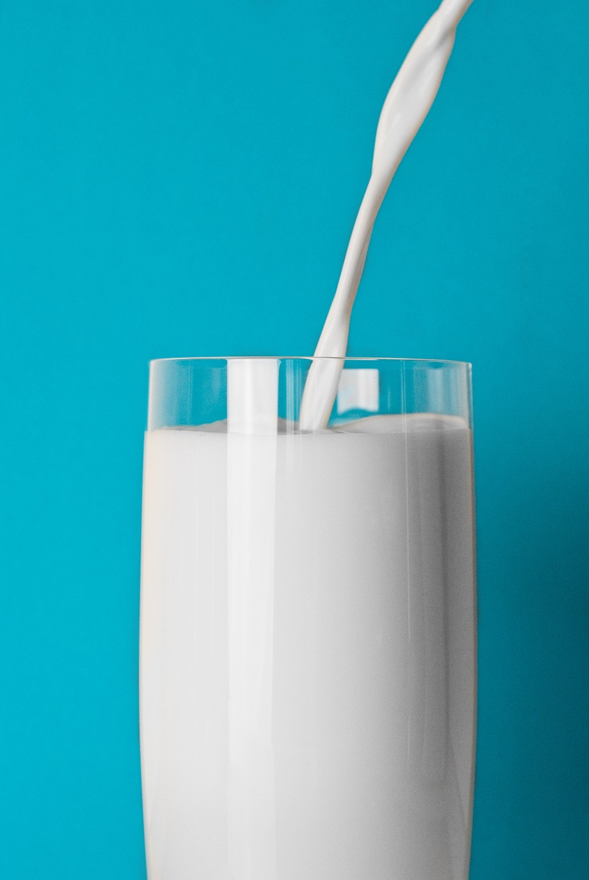 北方蒙牛新品揭晓，引领乳业新潮流，重塑行业新格局