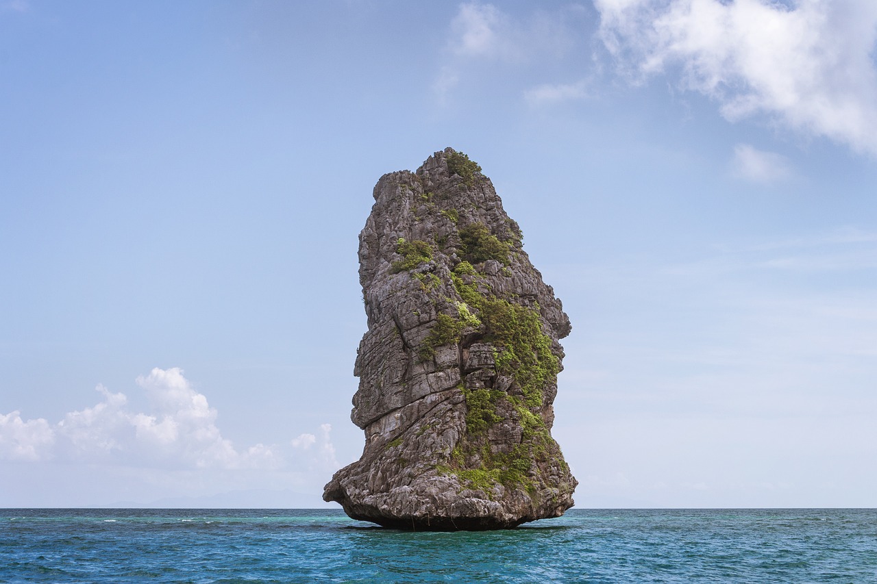 国家海洋乐园最新资讯，探索海洋世界的最新动态
