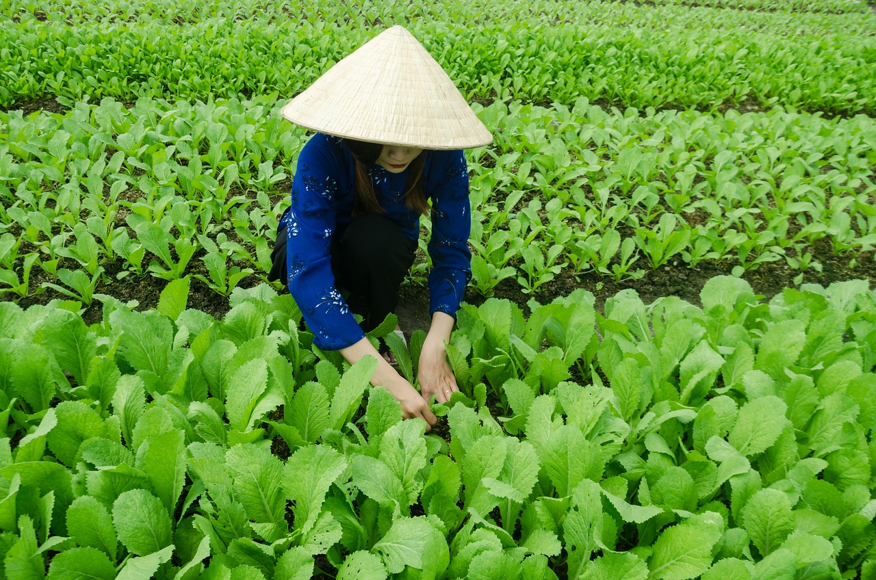 努涅斯全方位发展与进步最新动态揭秘