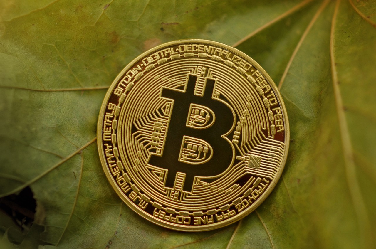 最新科朗普动态引领科技革新，塑造未来格局