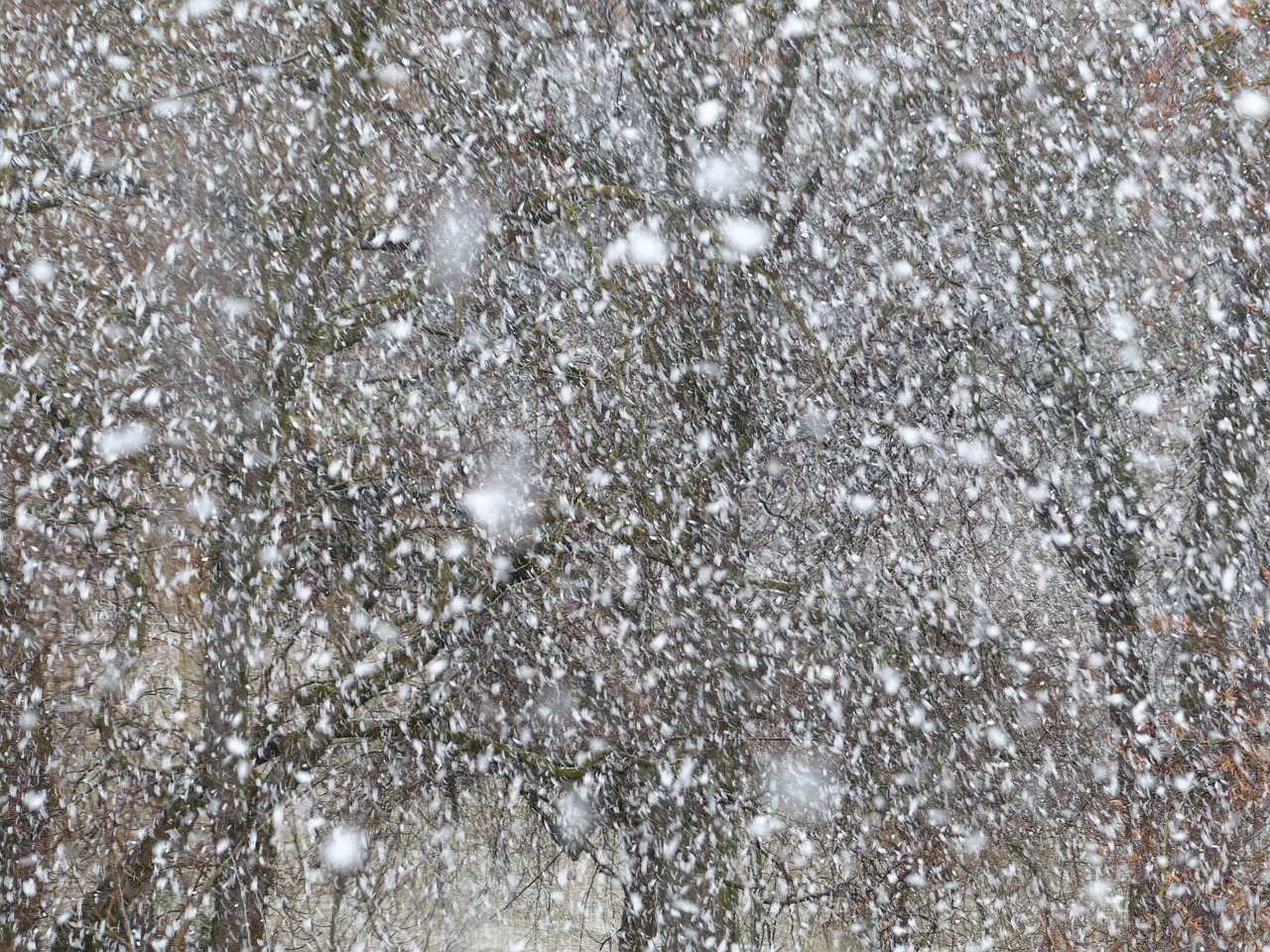 暴雪游戏最新动态引领业界新潮流