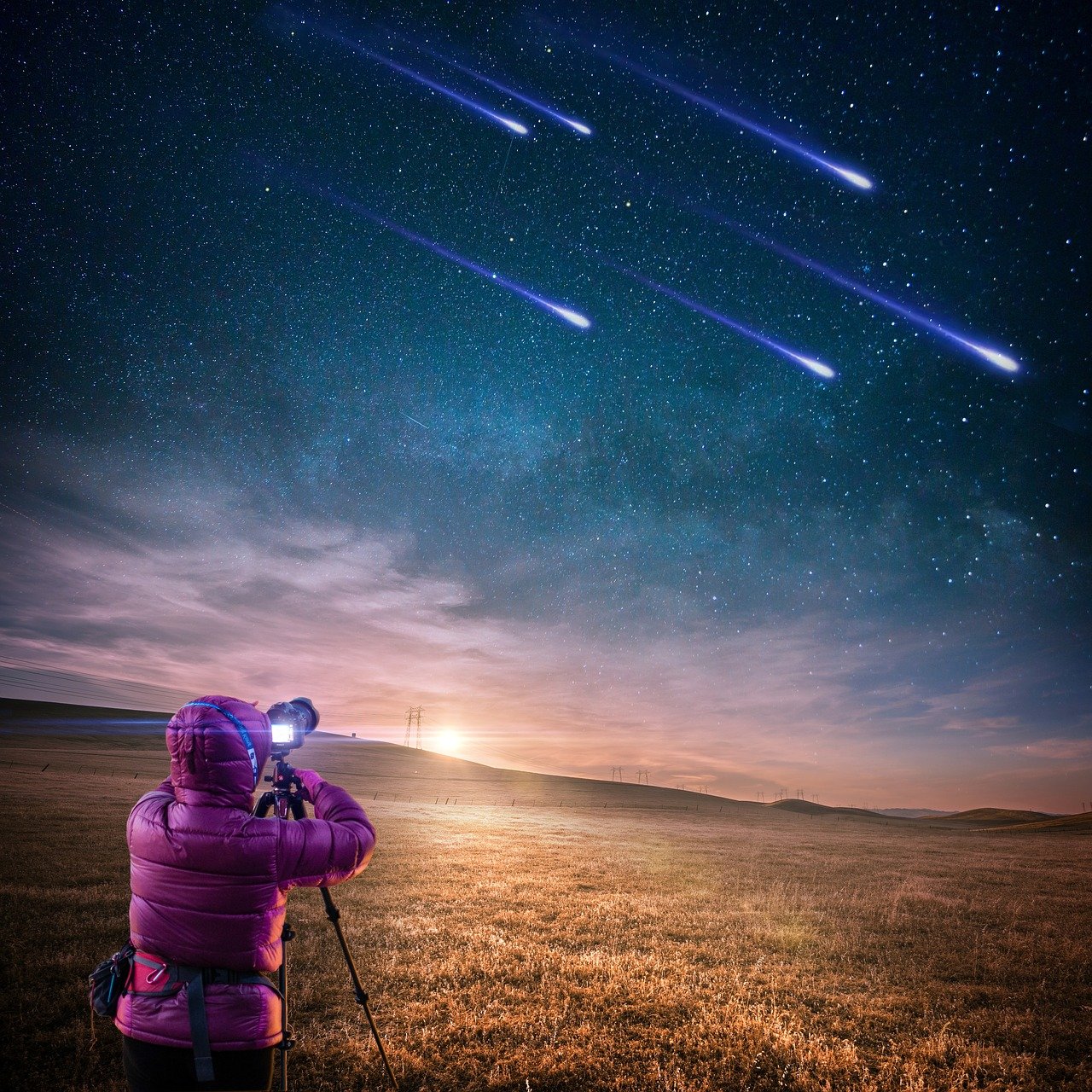 舒姓明星璀璨闪耀，星光熠熠