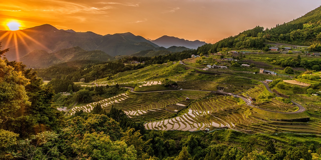 豪气农夫新篇章，重塑农村繁荣的力量之源，开启乡村振兴之旅