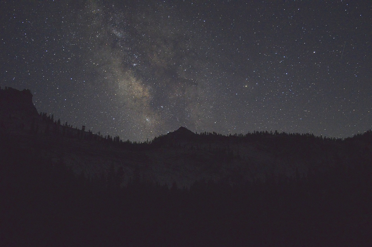 探寻温州明星，璀璨星辰闪耀在这片土地上