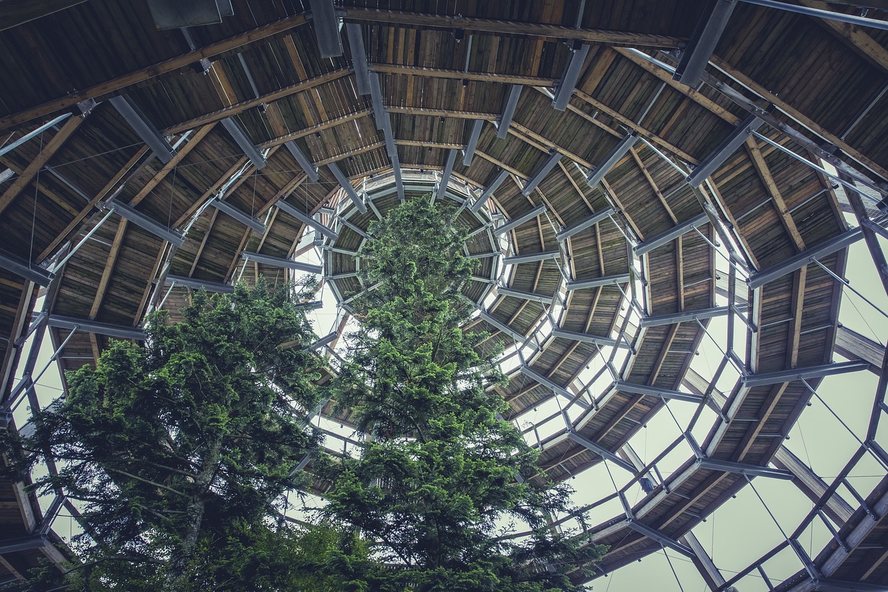 吉林省城市管理局改革动态，创新管理，推动城市高质量发展新篇章