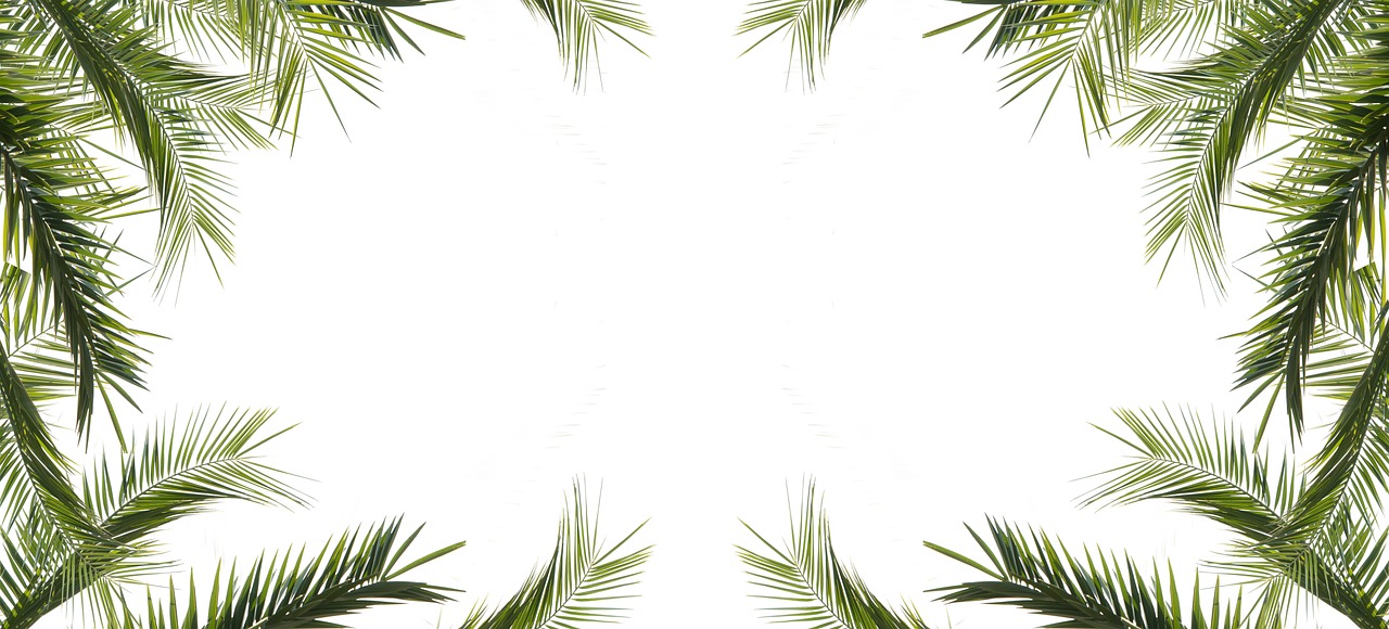 风也温柔 第2页
