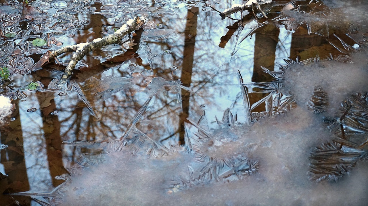 济南平阴黄河滩区搬迁动态，生态重塑与未来奔赴的新篇章