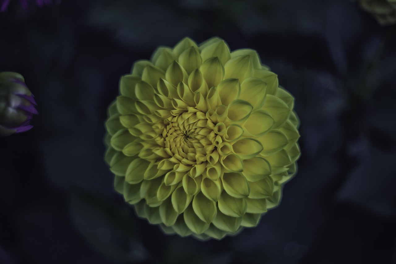 爱我几分