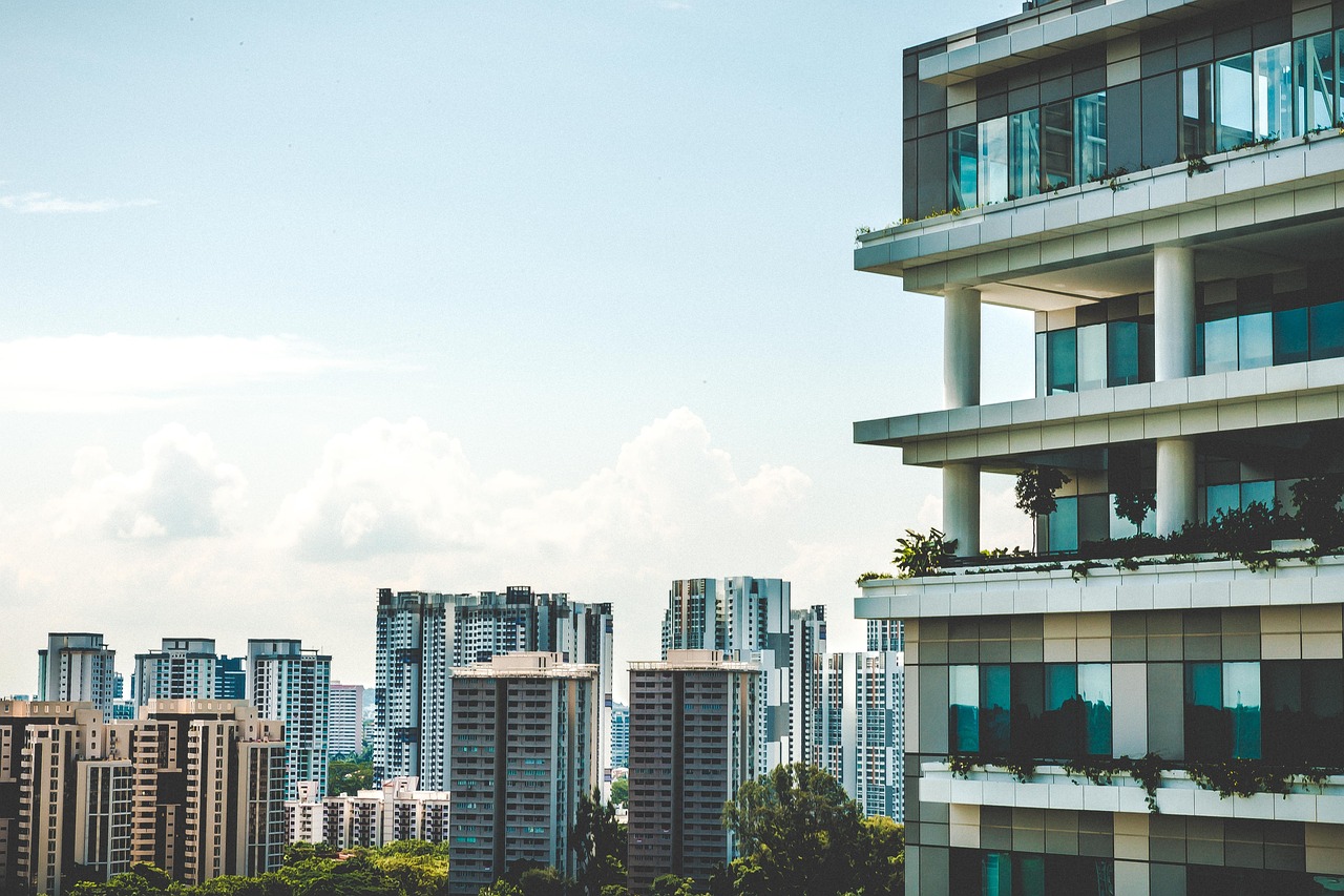 辛集最新住宅价格走势及购房指南，市场分析与指南解读