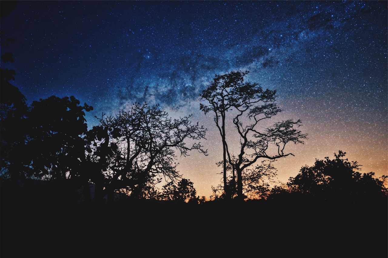 玩弄明星小说，虚构与现实交织的狂欢夜