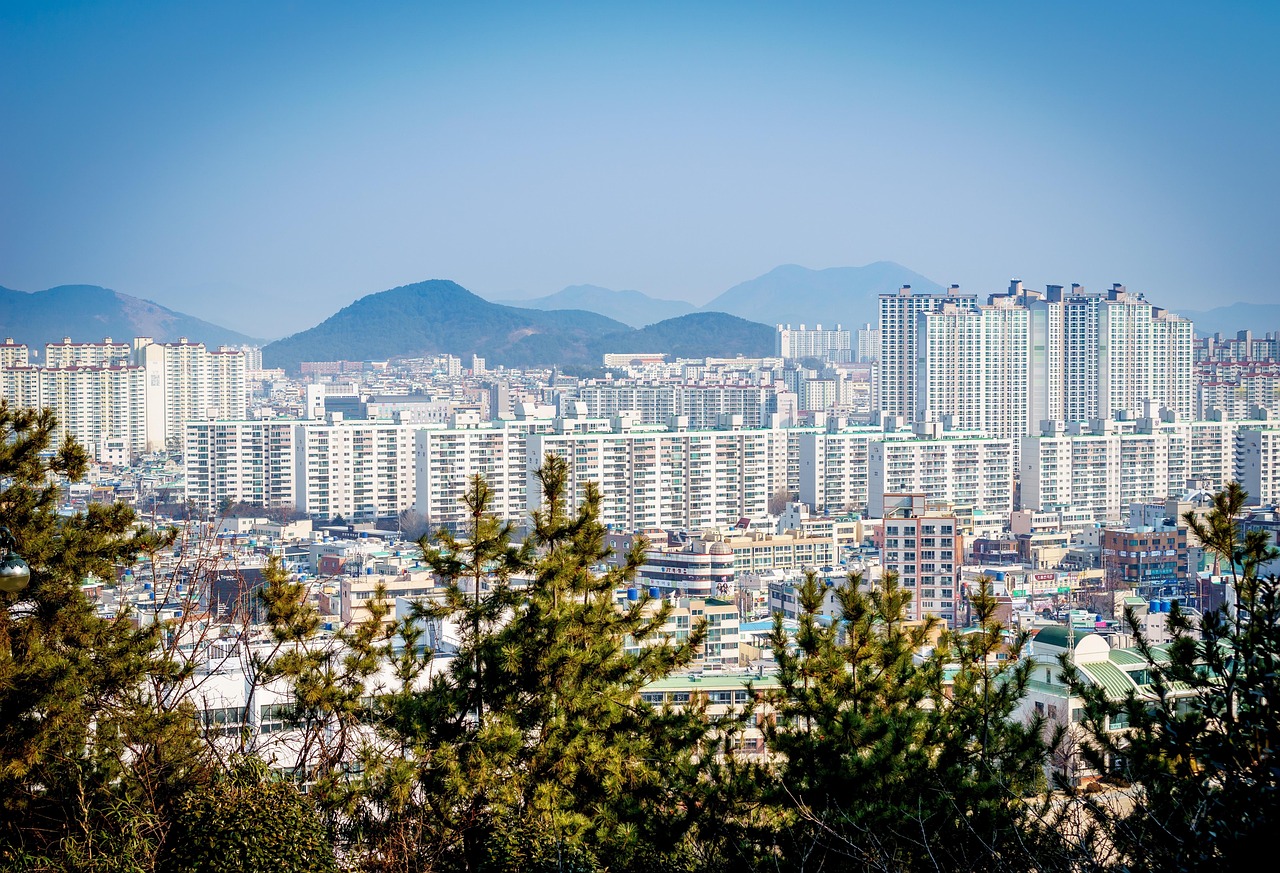 郓城最新交通规划图揭晓，塑造未来城市新交通蓝图