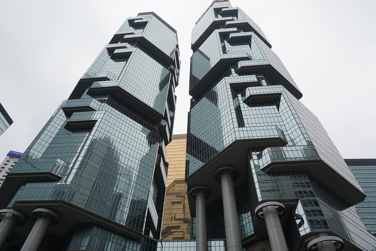 欣霖国际，上市公司的探索、洞察与现状