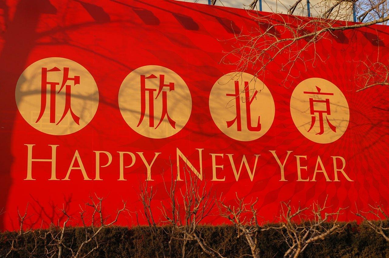 演员的舞台与荧屏之旅，从起步到成功的全面指南