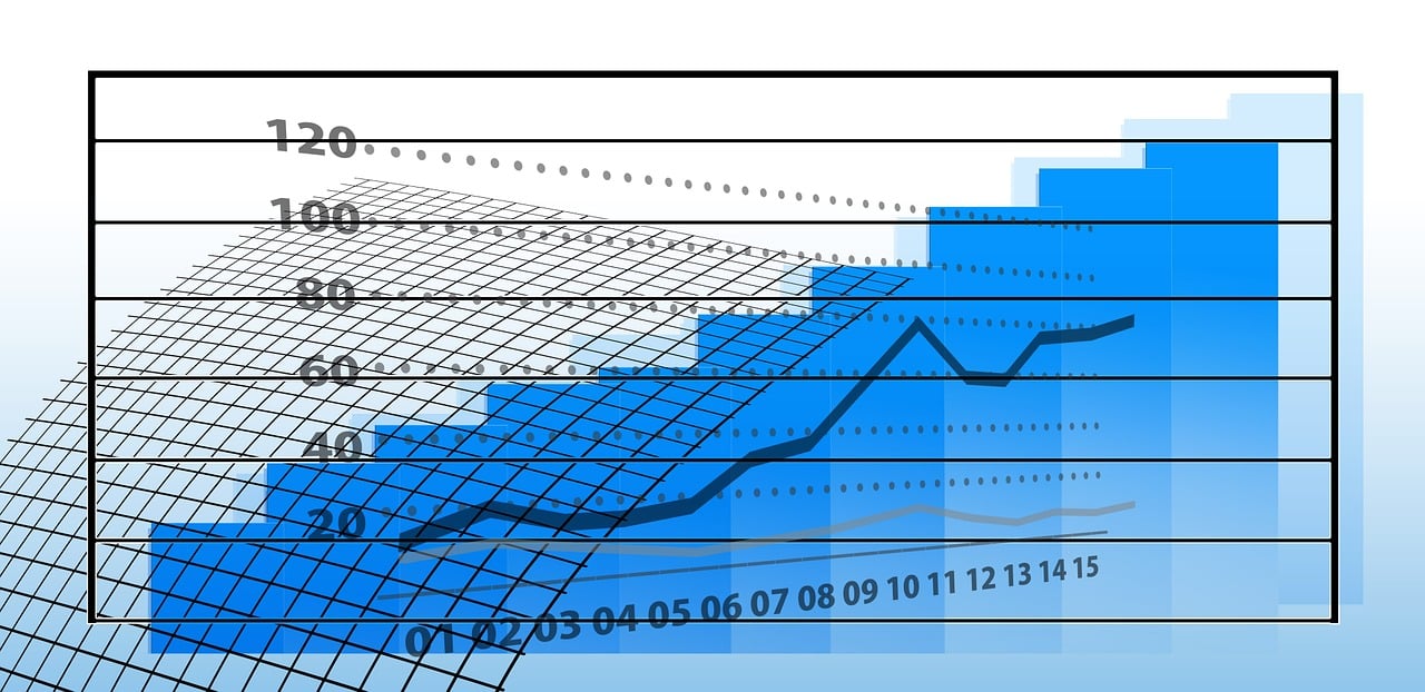 股票基金入门解析与投资策略，概念解读与投资指南